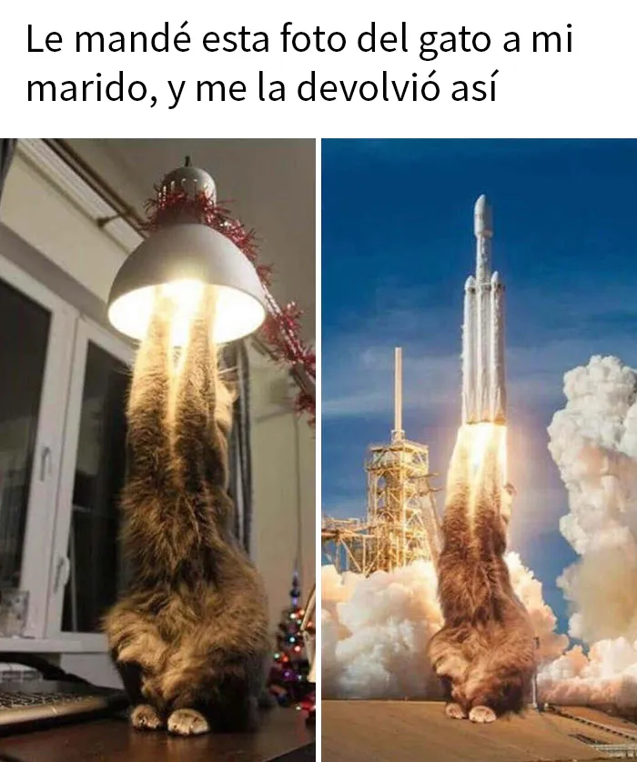 20 Memes reconfortantes para devolverte la fe en la humanidad
