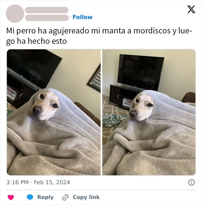 20 Memes reconfortantes para devolverte la fe en la humanidad
