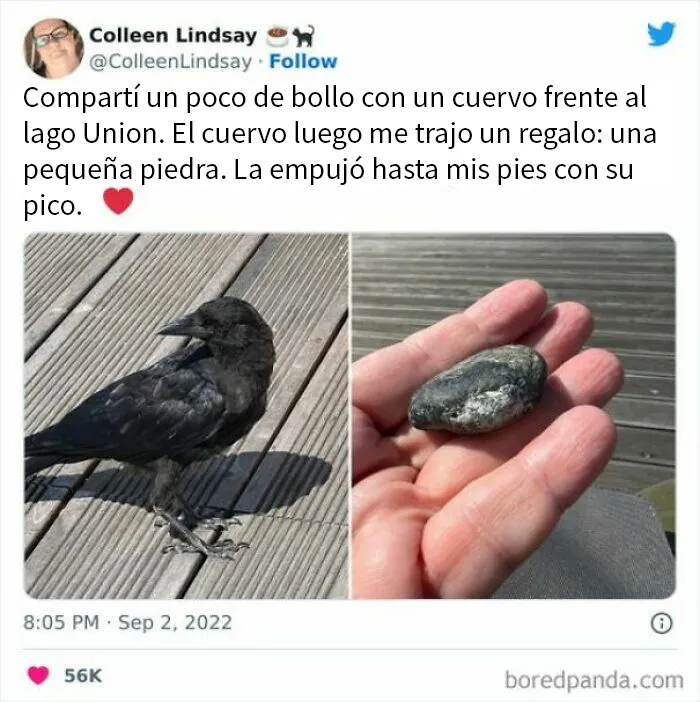 20 Memes reconfortantes para devolverte la fe en la humanidad