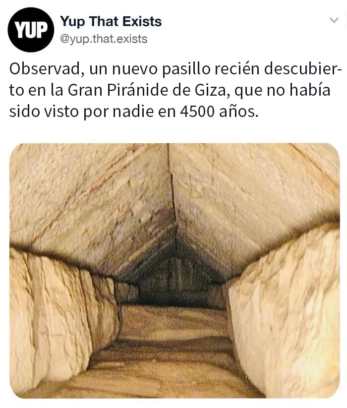 «Sí, eso existe»: 20 Cosas que quizá no sabías que existían (nuevas fotos)