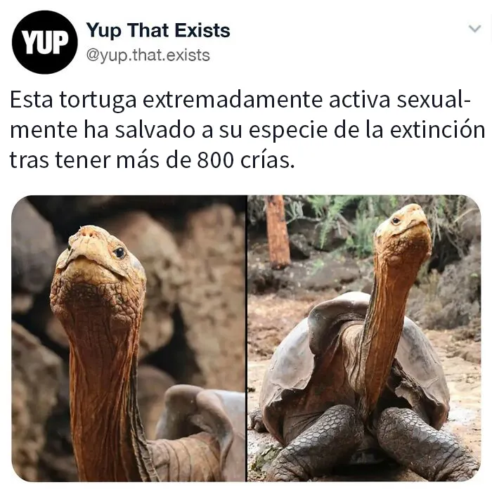«Sí, eso existe»: 20 Cosas que quizá no sabías que existían (nuevas fotos)