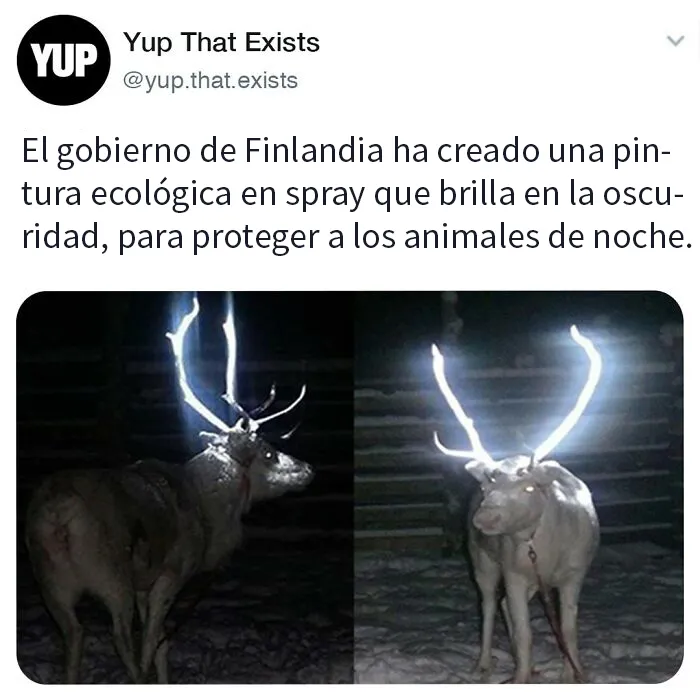 «Sí, eso existe»: 20 Cosas que quizá no sabías que existían (nuevas fotos)