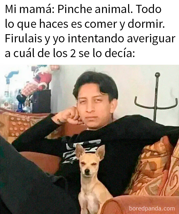 20 Divertidos memes mexicanos para echarse unas buenas risas