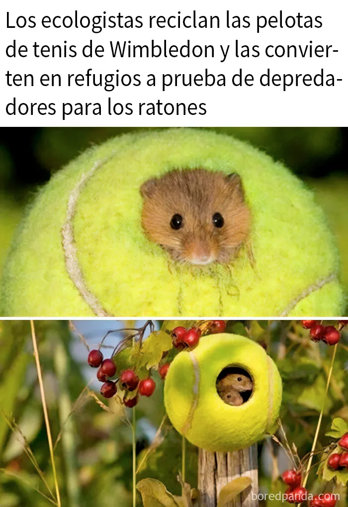 20 Personas que llevaron sus ideas creativas a otro nivel, según esta cuenta de Instagram