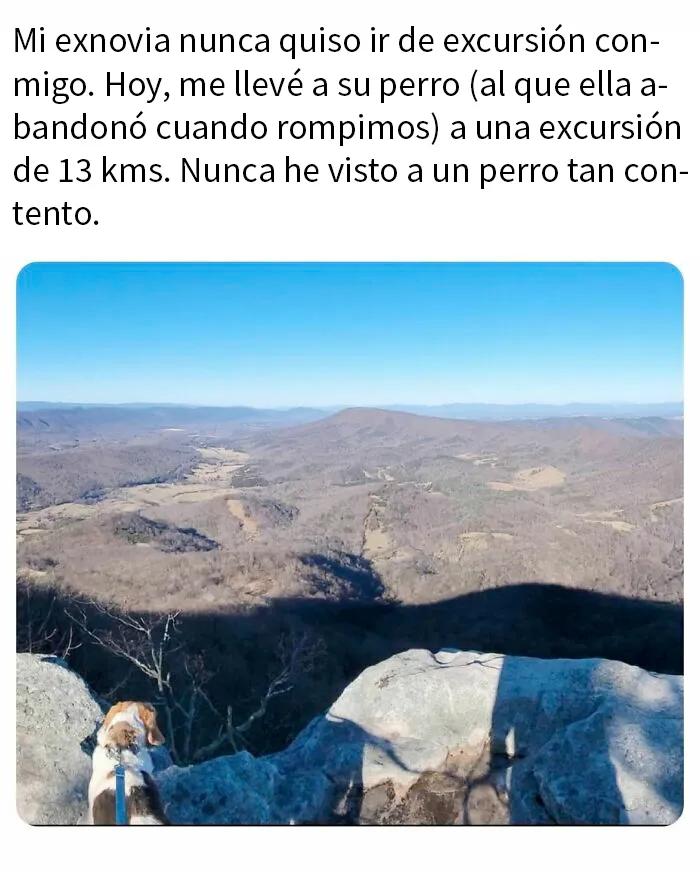 20 Publicaciones geniales de esta página con «humor para hombres»