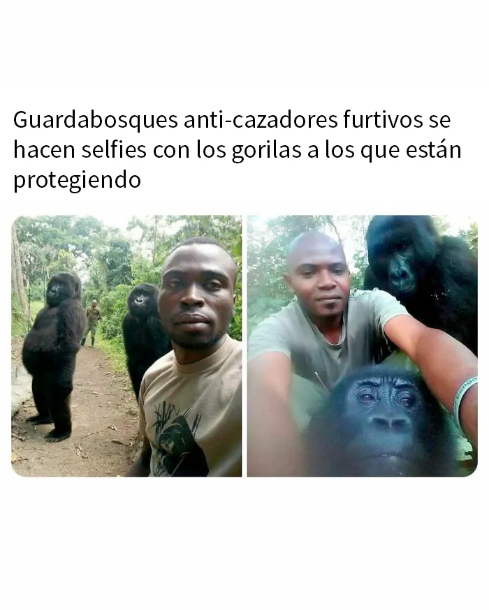 20 Publicaciones geniales de esta página con «humor para hombres»