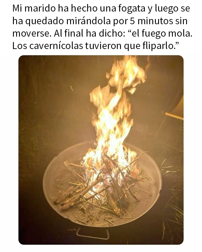 20 Publicaciones geniales de esta página con «humor para hombres»
