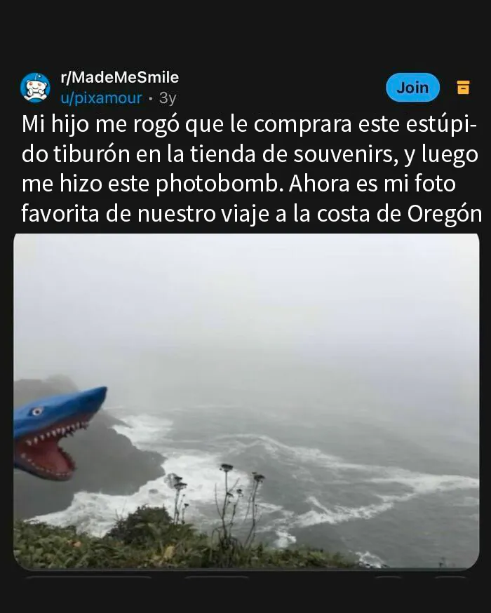 20 Publicaciones geniales de esta página con «humor para hombres»