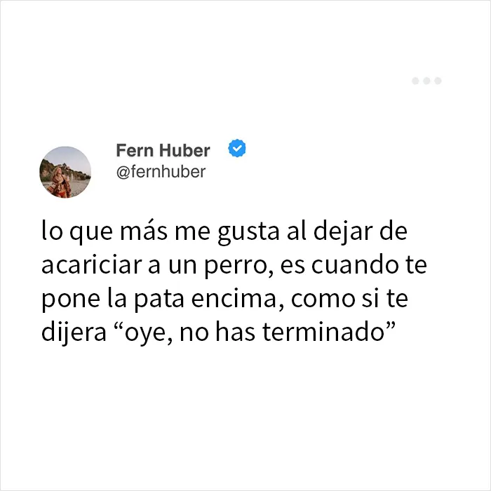 20 Tuits tan divertidos como acertados para recargar las pilas