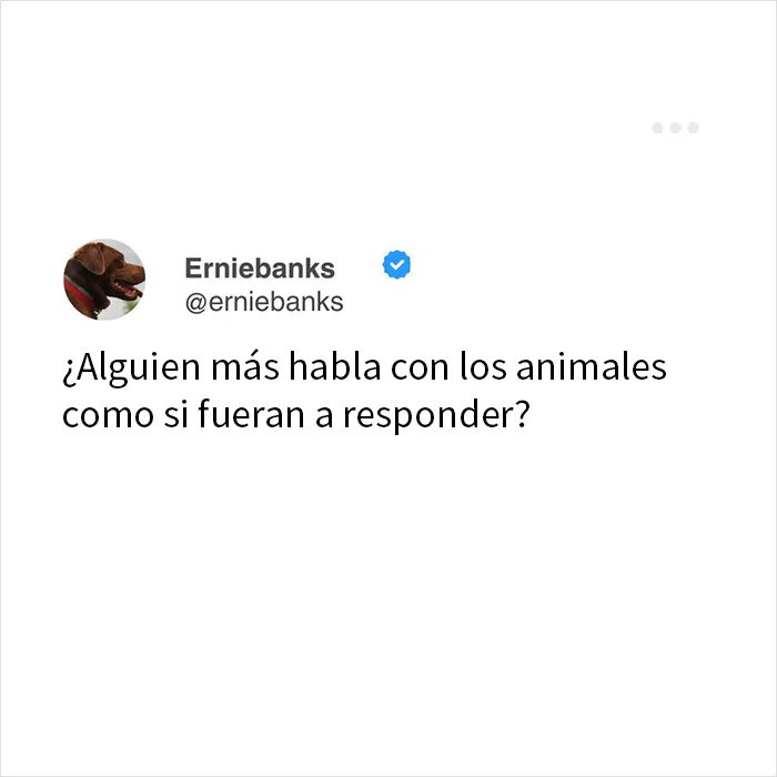 20 Tuits tan divertidos como acertados para recargar las pilas