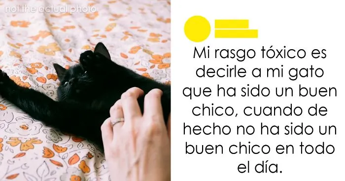 20 Tuits tan divertidos como acertados para recargar las pilas