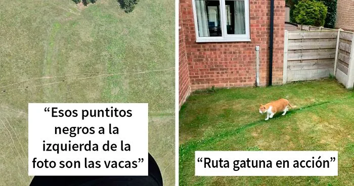«Caminos del deseo»: 40 fotos mostrando lo que ocurre cuando los planificadores urbanos no entienden lo que necesita la gente