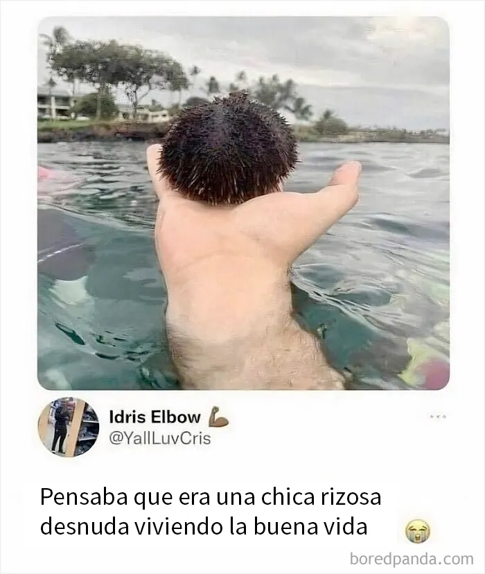20 Comentarios divertidos en las redes que había que compartir