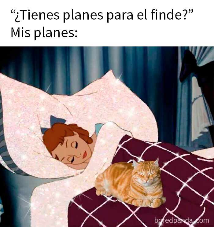 20 Memes divertidos para esos adultos que siguen siendo fans de Disney
