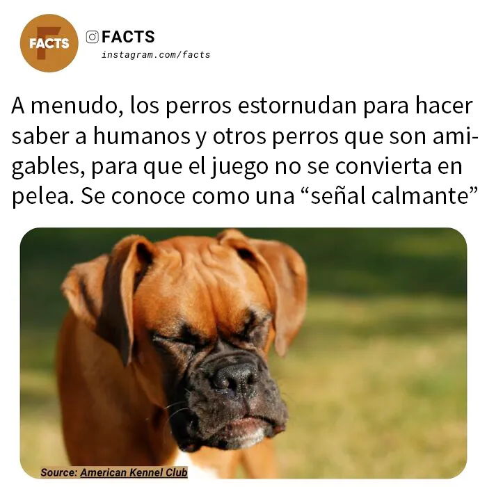 20 Datos tan interesantes que no podrás dejar de leerlos