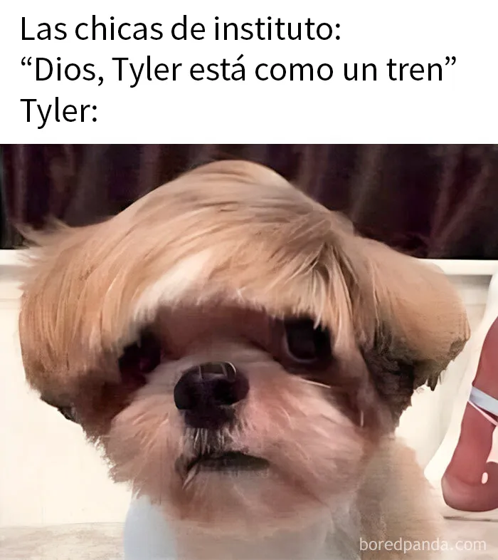 20 Divertidos memes sobre cosas de la vida para alegrártela un poco