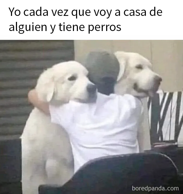 20 Divertidos memes sobre cosas de la vida para alegrártela un poco