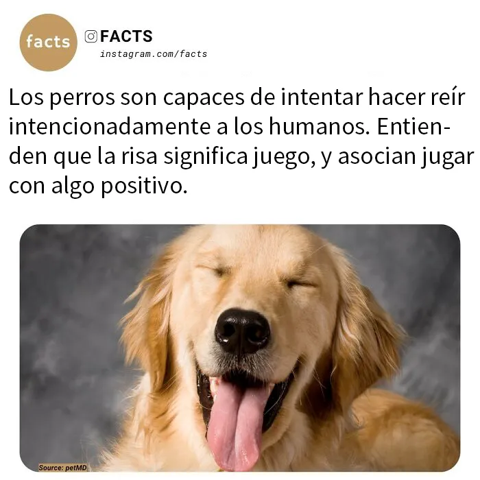 20 Datos tan interesantes que no podrás dejar de leerlos