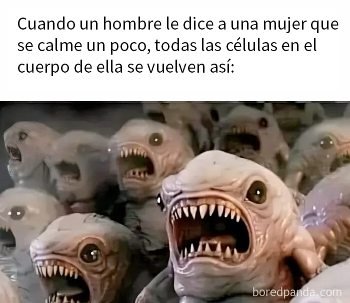 20 Divertidos memes sobre cosas de la vida para alegrártela un poco