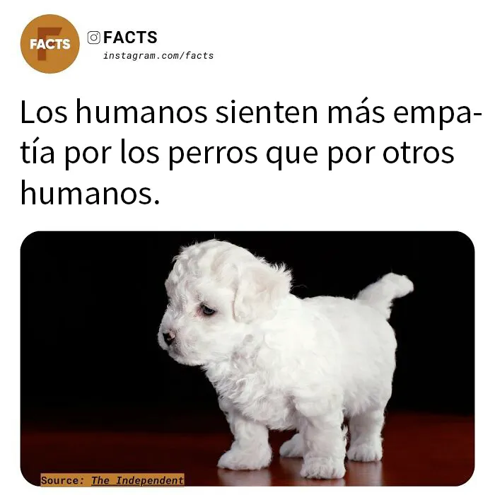 20 Datos tan interesantes que no podrás dejar de leerlos