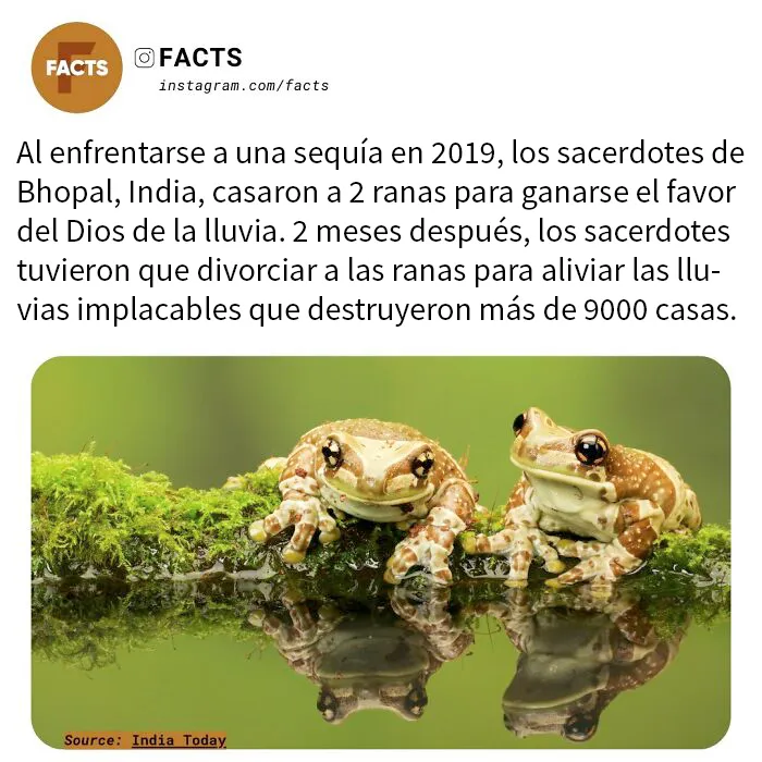 20 Datos tan interesantes que no podrás dejar de leerlos