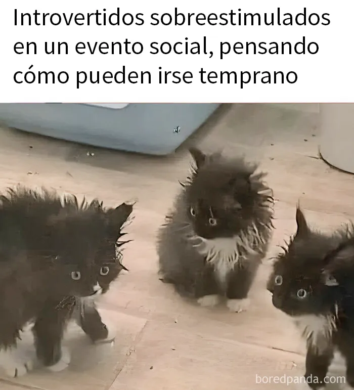20 Divertidos memes sobre cosas de la vida para alegrártela un poco