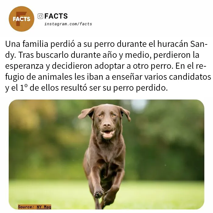 20 Datos tan interesantes que no podrás dejar de leerlos