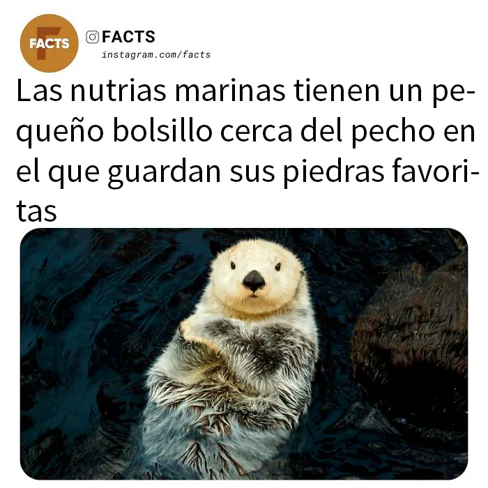 20 Datos tan interesantes que no podrás dejar de leerlos
