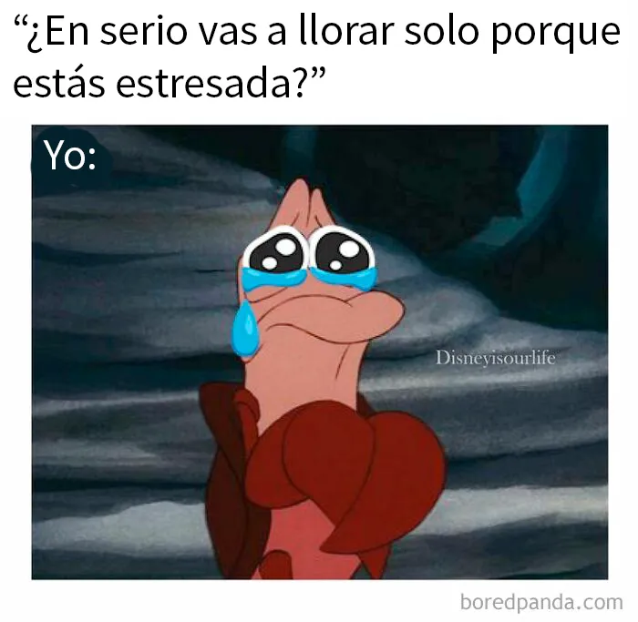 20 Memes divertidos para esos adultos que siguen siendo fans de Disney