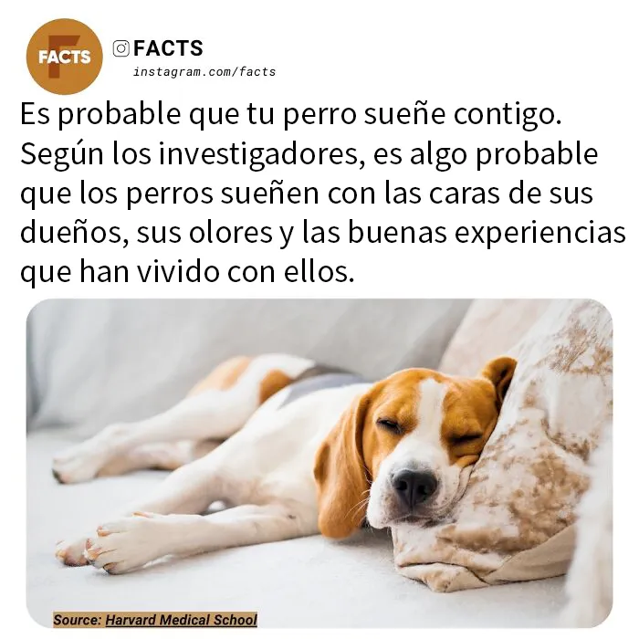 20 Datos tan interesantes que no podrás dejar de leerlos