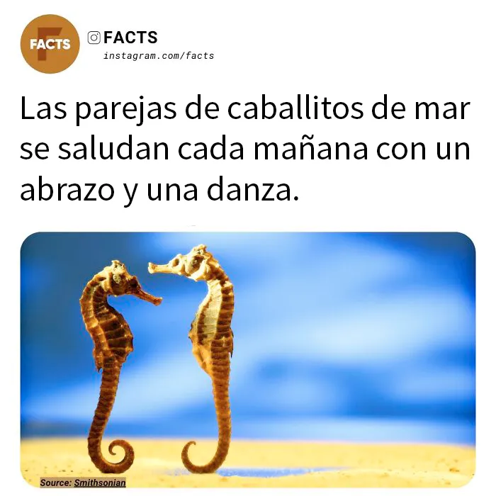 20 Datos tan interesantes que no podrás dejar de leerlos