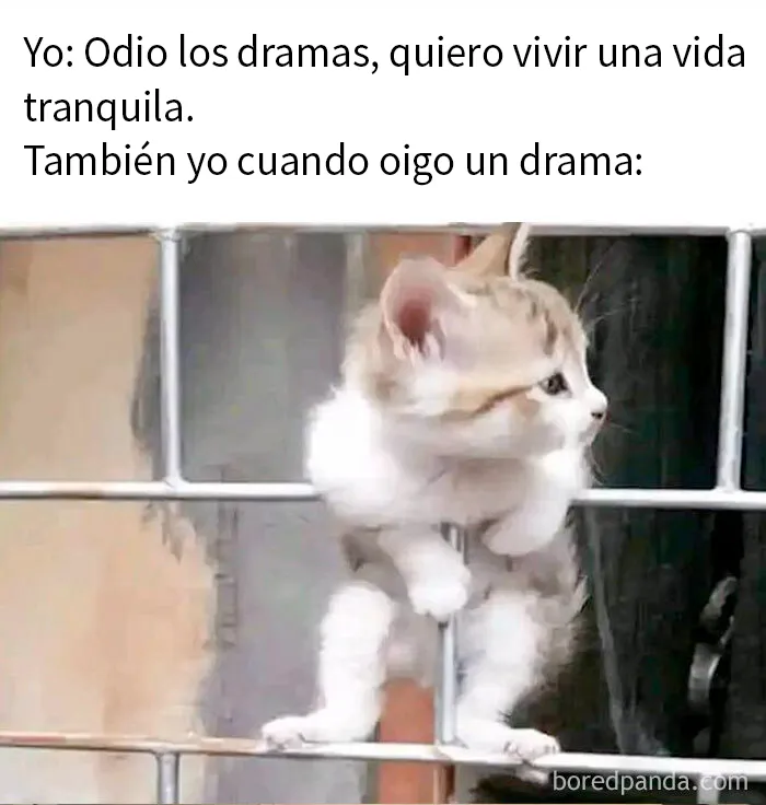 20 Divertidos memes sobre cosas de la vida para alegrártela un poco
