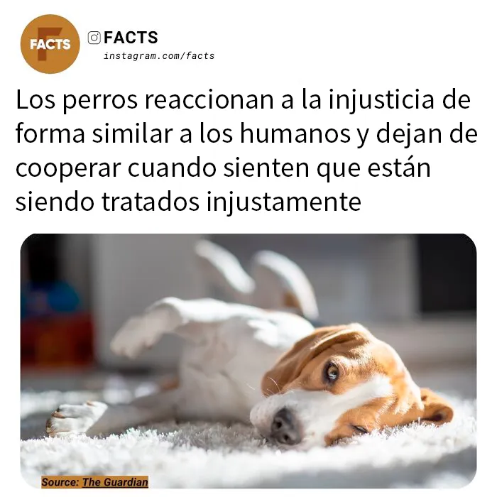20 Datos tan interesantes que no podrás dejar de leerlos