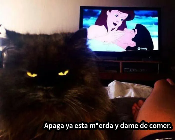 20 Memes divertidos para esos adultos que siguen siendo fans de Disney