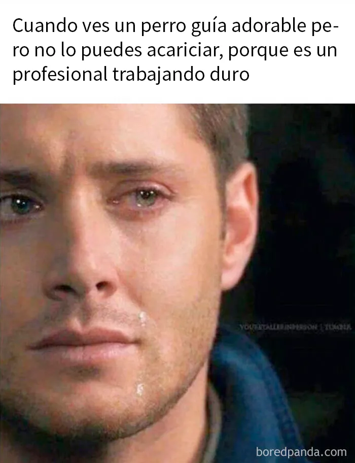 20 Divertidos memes sobre cosas de la vida para alegrártela un poco