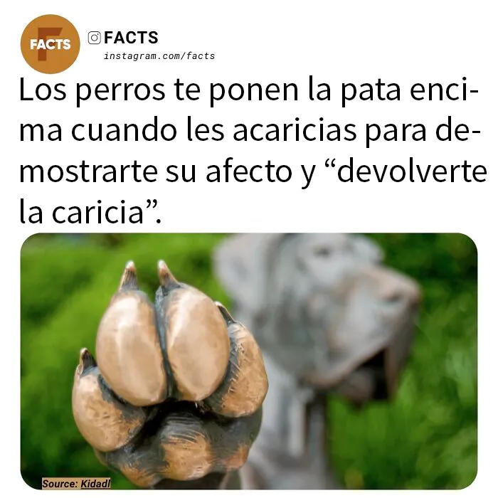 20 Datos tan interesantes que no podrás dejar de leerlos