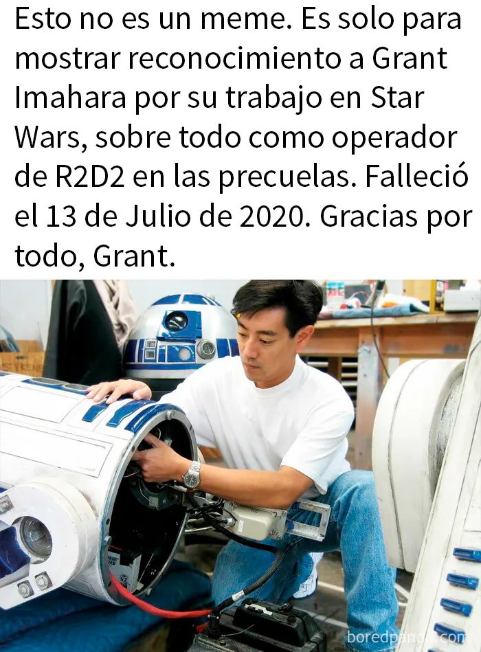 20 Memes divertidos para esos adultos que siguen siendo fans de Disney