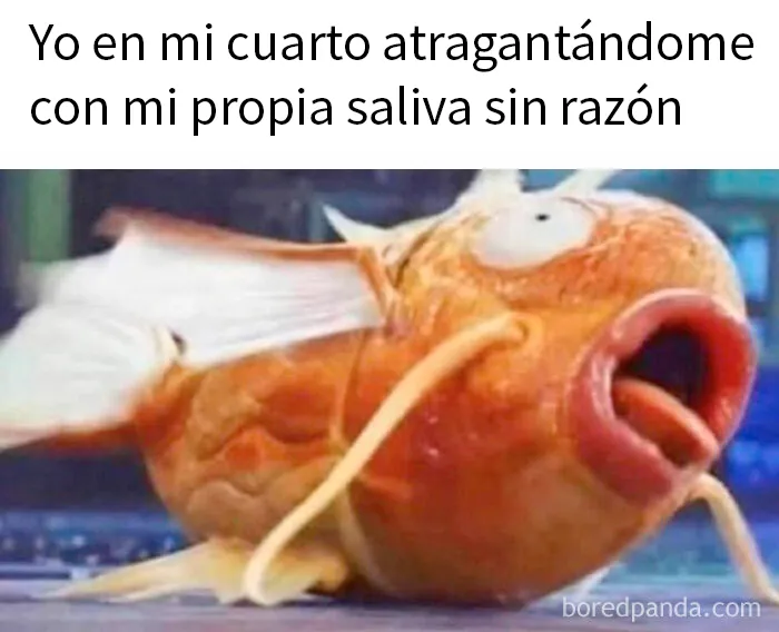 20 Divertidos memes sobre cosas de la vida para alegrártela un poco