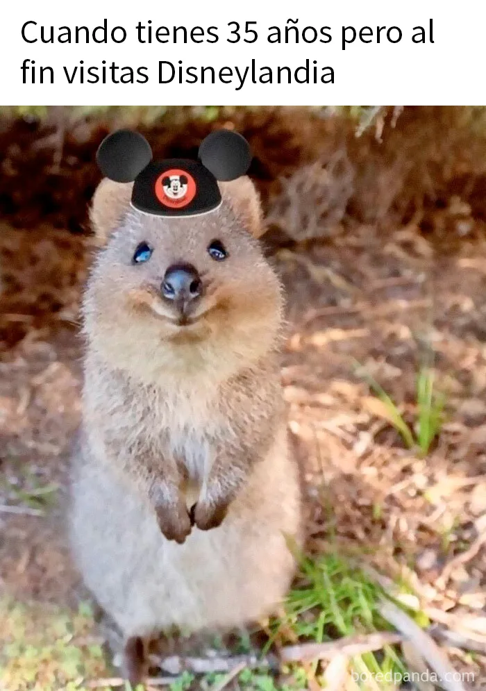 20 Memes divertidos para esos adultos que siguen siendo fans de Disney