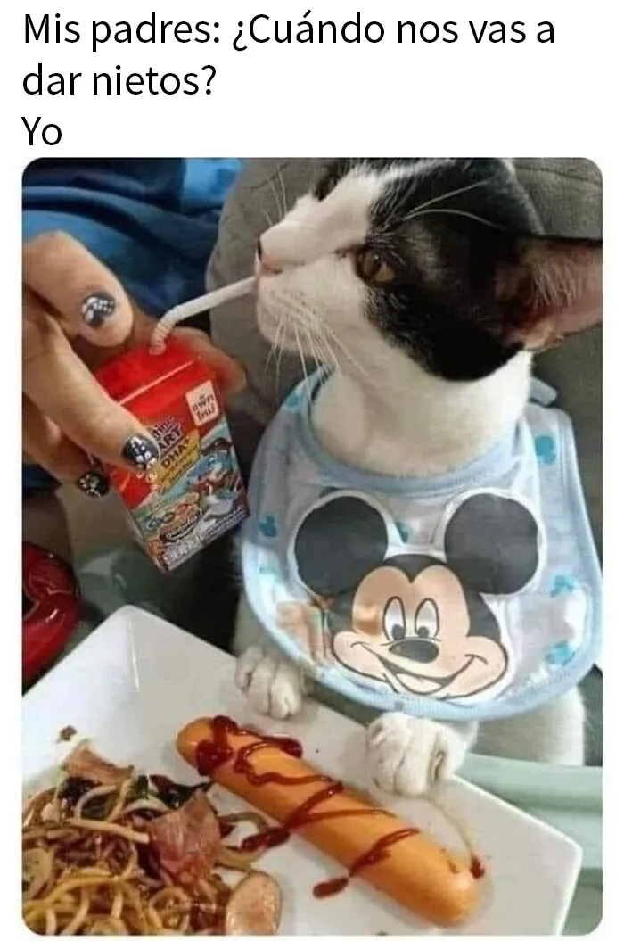 20 Memes divertidos para esos adultos que siguen siendo fans de Disney