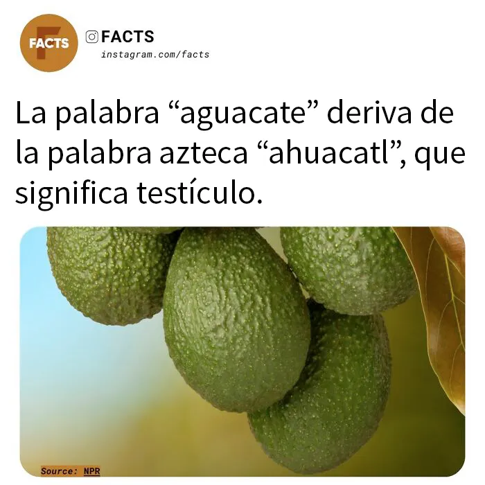 20 Datos tan interesantes que no podrás dejar de leerlos