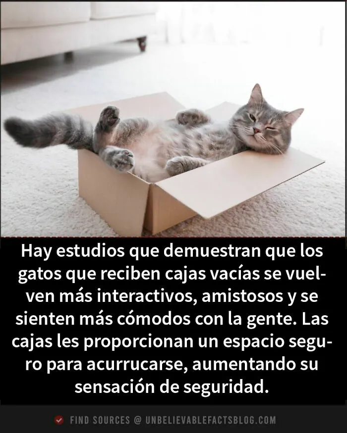 16 Datos fascinantes que te dejarán alucinando