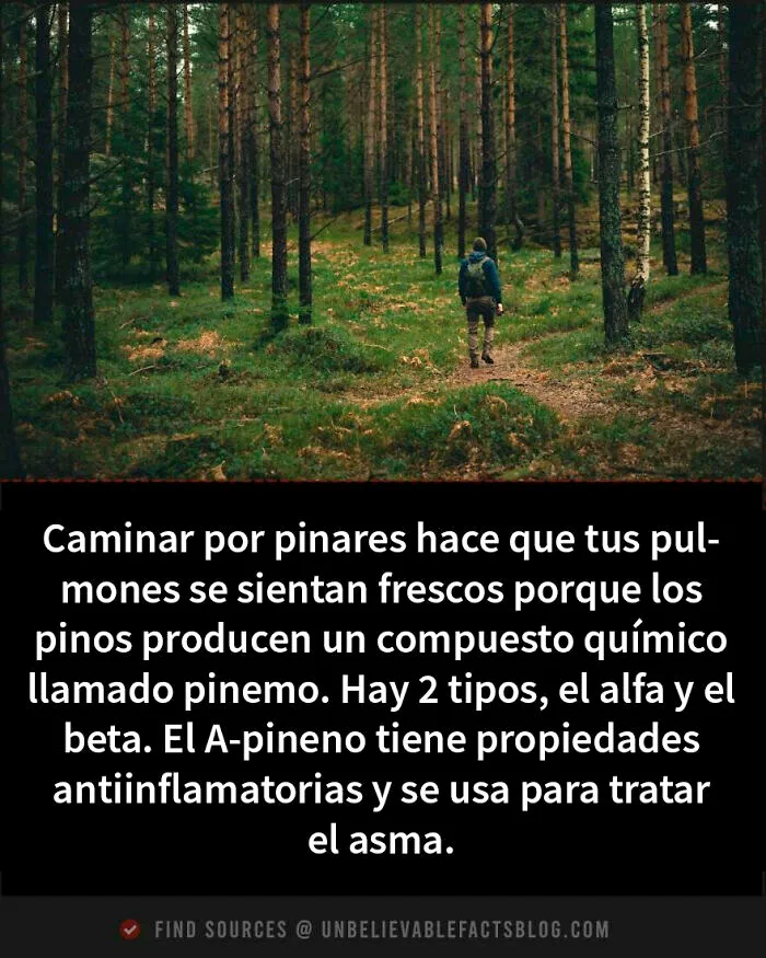 16 Datos fascinantes que te dejarán alucinando