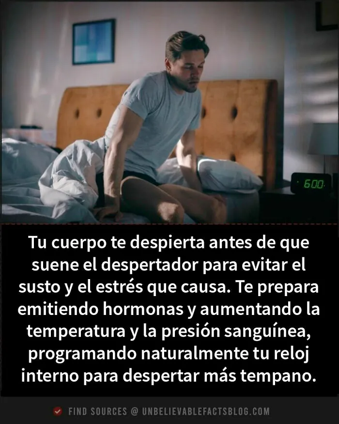 16 Datos fascinantes que te dejarán alucinando