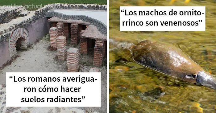 20 Datos que quizá te hagan cuestionarte la realidad