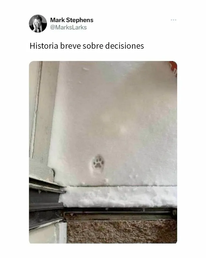20 Memes británicos que te harán partirte de risa