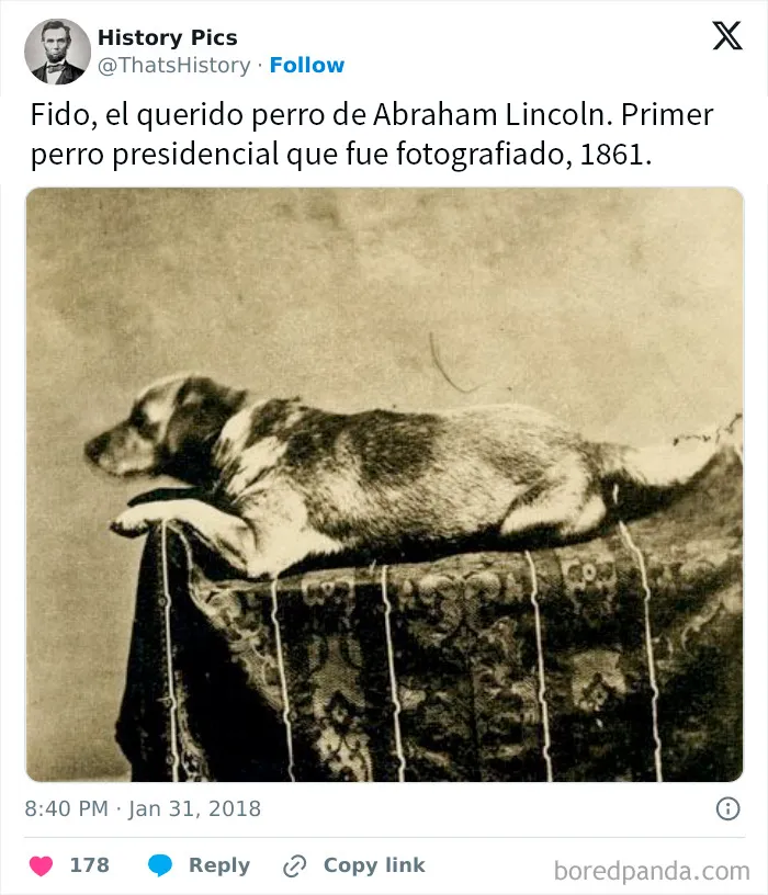 20 Interesantes fotos históricas que quizá sirvan para cambiar tu perspectiva del pasado