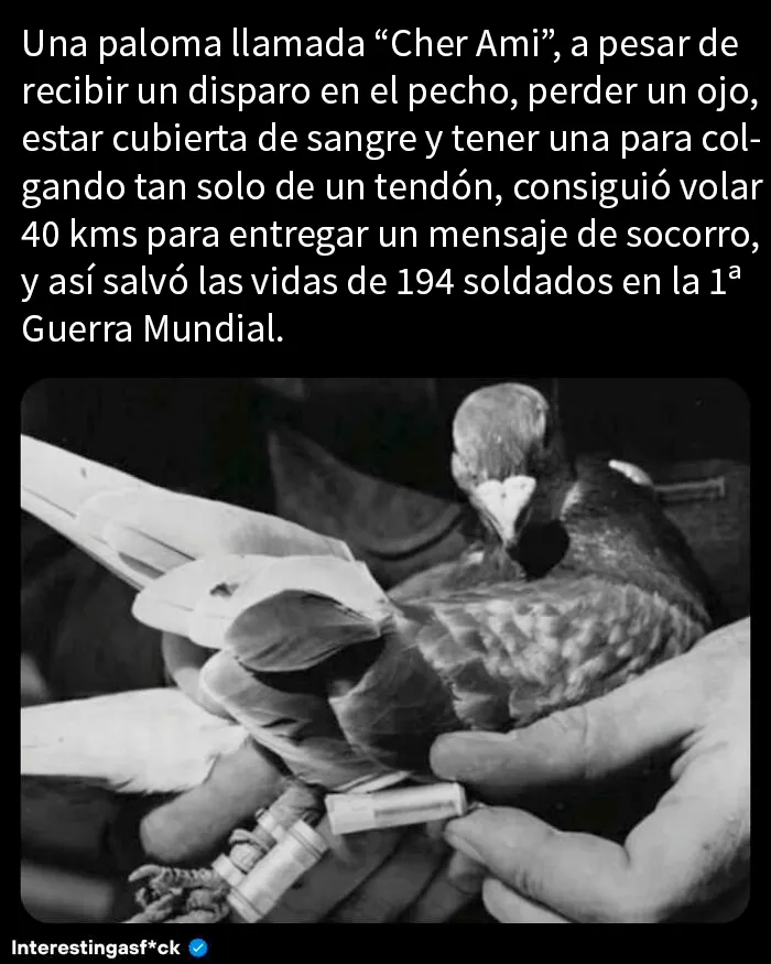 20 Datos tan educativos como interesantes que serán tu ración de conocimientos nuevos de hoy