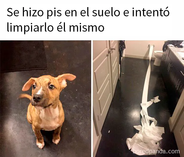 Intento de limpiar