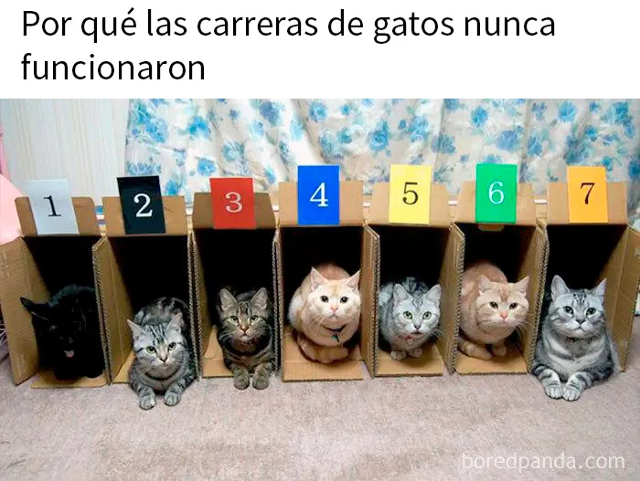 Intento de empezar un deporte nuevo